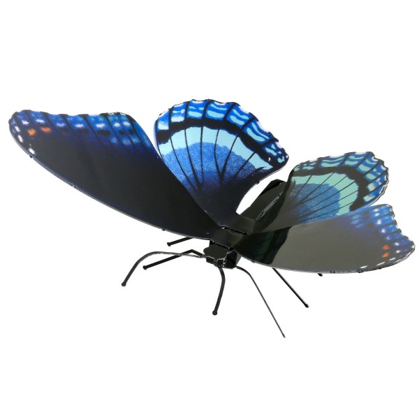 Schmetterling Red Spotted Purple